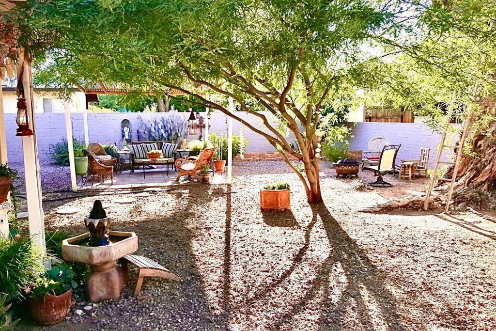 Cute Peaceful Tiny House Getaway W Backyard - Low Summer Rates! Tucson Ngoại thất bức ảnh